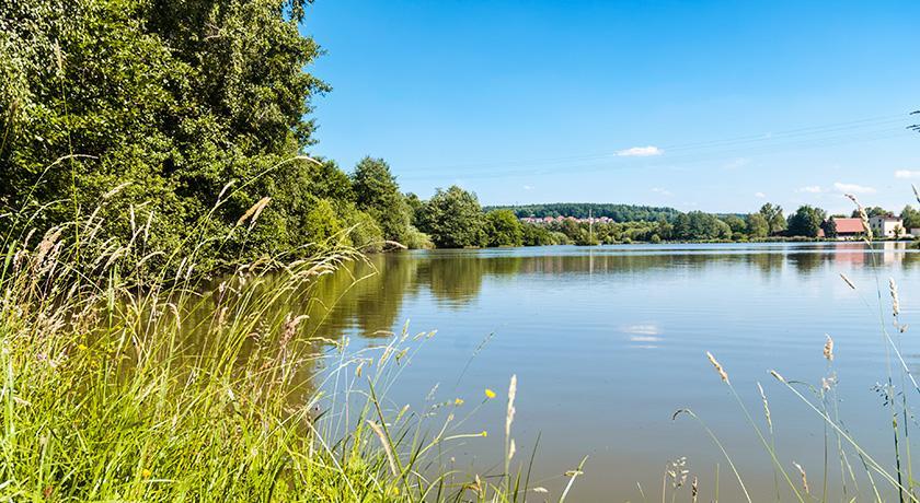 Landhotel Mappacher Hof Bruck in der Oberpfalz Ngoại thất bức ảnh